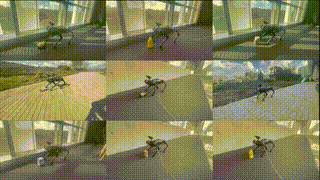 Visual Manipulation with Legs